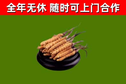 大兴安岭地区烟酒回收冬虫夏草.jpg