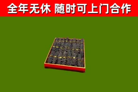 大兴安岭地区回收海参